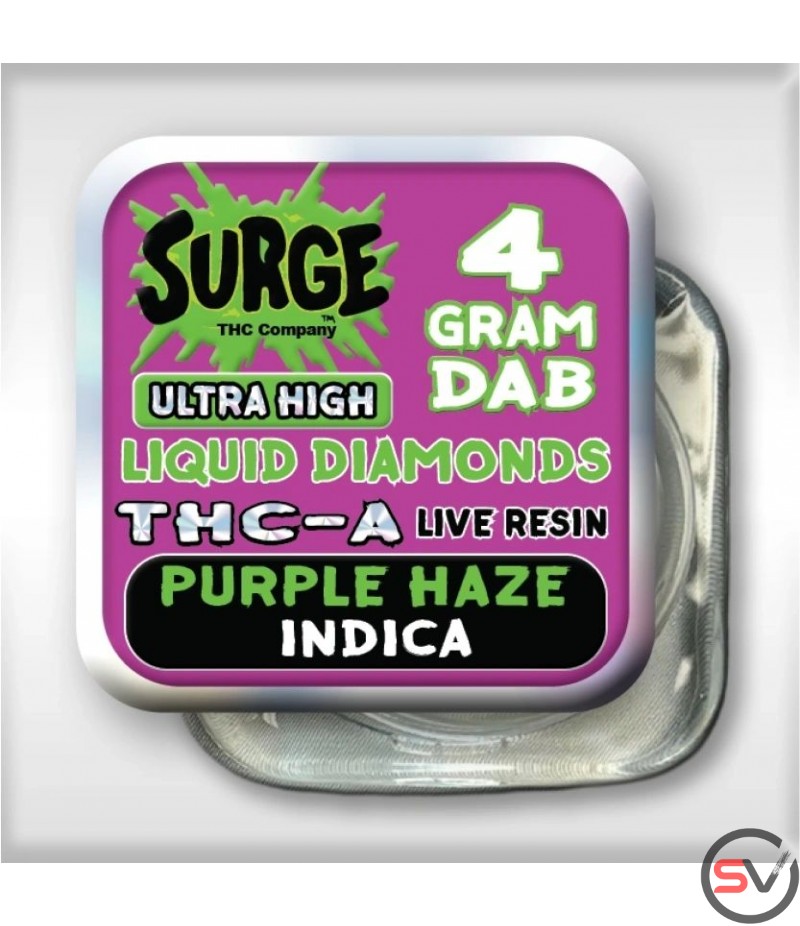 SURGE 4G DAB